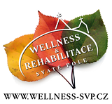 Wellness Centrum Svaté Pole 41 263 01 Dobříš